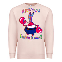 Pale Pink Funny Men Are You Feeling It Now Mr Krabs Gifts For Music Fans 1 Premium Sweatshirt - lanVoArt