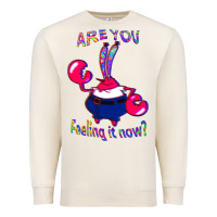 Sandshell Funny Men Are You Feeling It Now Mr Krabs Gifts For Music Fans 1 Premium Sweatshirt - lanVoArt