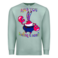 Seafoam Funny Men Are You Feeling It Now Mr Krabs Gifts For Music Fans 1 Premium Sweatshirt - lanVoArt