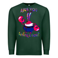 Sports Green Funny Men Are You Feeling It Now Mr Krabs Gifts For Music Fans 1 Premium Sweatshirt - lanVoArt