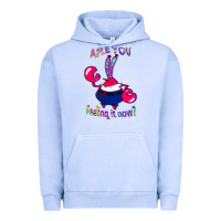 Pigment Grape Ice Funny Men Are You Feeling It Now Mr Krabs Gifts For Music Fans 1 Urban Hoodie - lanVoArt