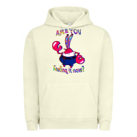 Pigment Pistachio Funny Men Are You Feeling It Now Mr Krabs Gifts For Music Fans 1 Urban Hoodie - lanVoArt
