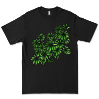 Black Botanical Schefflera Illustrations Premium Tee - LillyAllenDesigns