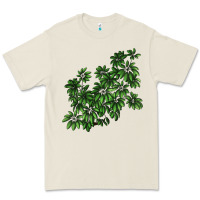 Bone Botanical Schefflera Illustrations Premium Tee - LillyAllenDesigns