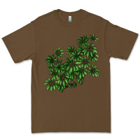 Cacao Botanical Schefflera Illustrations Premium Tee - LillyAllenDesigns