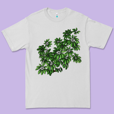 Botanical Schefflera Illustrations Premium Tee Designed By Lillyallendesigns