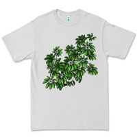 Dove Grey Botanical Schefflera Illustrations Premium Tee - LillyAllenDesigns