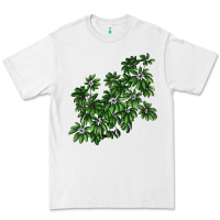 White Botanical Schefflera Illustrations Premium Tee - LillyAllenDesigns