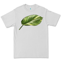 Dove Grey Golden Pothos Leaf Premium Tee - LillyAllenDesigns