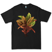 Black Croton Premium Tee - LillyAllenDesigns