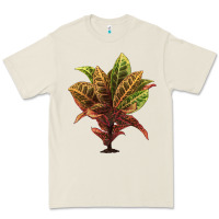 Bone Croton Premium Tee - LillyAllenDesigns