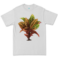 Dove Grey Croton Premium Tee - LillyAllenDesigns