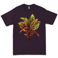 Plum Croton Premium Tee - LillyAllenDesigns