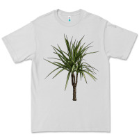 Dove Grey Dracaena Marginata Premium Tee - LillyAllenDesigns