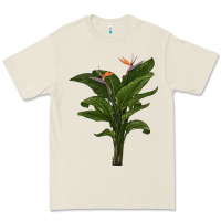 Bone the bird of paradise Premium Tee - LillyAllenDesigns