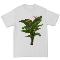 Dove Grey the bird of paradise Premium Tee - LillyAllenDesigns