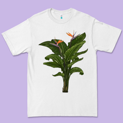 The Bird Of Paradise Premium Tee Designed By Lillyallendesigns