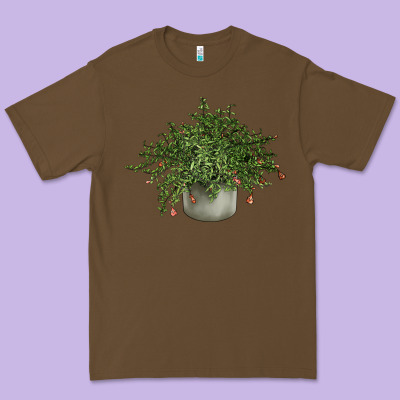 Dwarf Pomegranate Tree Illustrations Premium Tee Designed By Lillyallendesigns