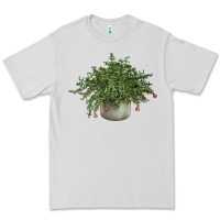 Dove Grey Dwarf Pomegranate Tree Illustrations Premium Tee - LillyAllenDesigns