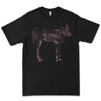Black Black Angus Calf Illustrations Premium Tee - LillyAllenDesigns