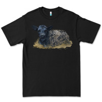 Black Black Angus Calf Illustrations Premium Tee - LillyAllenDesigns