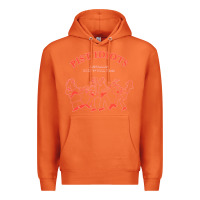 Carrot pist idiots Premium Hoodie - lanVoArt