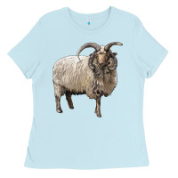 Baby Blue navajo churro sheep Ladies Tee - LillyAllenDesigns
