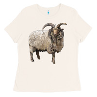 Bone navajo churro sheep Ladies Tee - LillyAllenDesigns