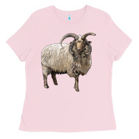 Bubblegum Pink navajo churro sheep Ladies Tee - LillyAllenDesigns