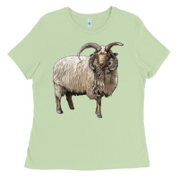 Matcha navajo churro sheep Ladies Tee - LillyAllenDesigns
