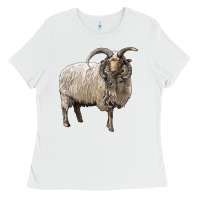 White navajo churro sheep Ladies Tee - LillyAllenDesigns