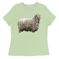Matcha lincoln sheep Ladies Tee - LillyAllenDesigns