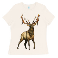 Bone elk deer Ladies Tee - LillyAllenDesigns
