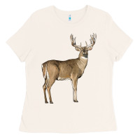Bone white tailed buck deer Ladies Tee - LillyAllenDesigns