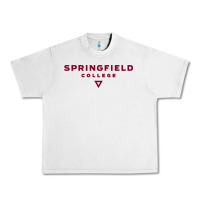 Lunar Rock springfield college Urban Heavy Tee - lanVoArt