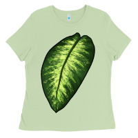 Matcha Dumb Cane Leaf Ladies Tee - LillyAllenDesigns
