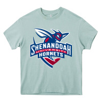 Arona Shenandoah University Hornets Heavy Core Tee - lanVoArt