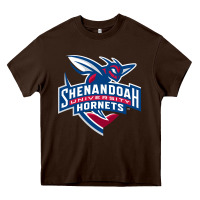 Chocolate Brown Shenandoah University Hornets Heavy Core Tee - lanVoArt