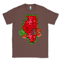 Chestnut illinois watermelon Classic Tee - RacoonDesign