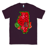 Plum illinois watermelon Classic Tee - RacoonDesign