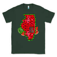 Sports Green illinois watermelon Classic Tee - RacoonDesign