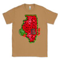 Toasted Coconut illinois watermelon Classic Tee - RacoonDesign