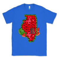 True Royal illinois watermelon Classic Tee - RacoonDesign