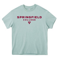 Arona springfield college Heavy Core Tee - lanVoArt