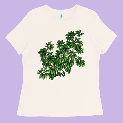 Botanical Schefflera Illustrations Ladies Tee Designed By Lillyallendesigns