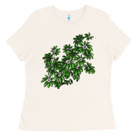 Bone Botanical Schefflera Illustrations Ladies Tee - LillyAllenDesigns