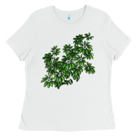 White Botanical Schefflera Illustrations Ladies Tee - LillyAllenDesigns