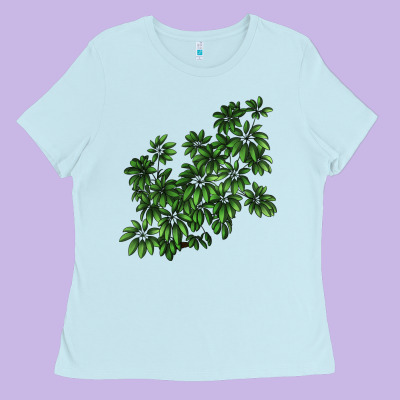 Botanical Schefflera Illustrations Ladies Tee Designed By Lillyallendesigns