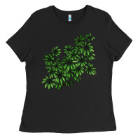 Black Botanical Schefflera Illustrations Ladies Tee - LillyAllenDesigns
