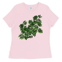 Bubblegum Pink Botanical Schefflera Illustrations Ladies Tee - LillyAllenDesigns